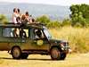 Paraa Safari Lodge - Activities 